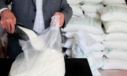 کاهش ۴۷درصدی واردات شکر پس از افزایش تولید داخل/ حمایت دولت از چغندرکاران