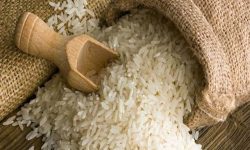 رییس انجمن تولیدکنندگان و تأمین‌کنندگان برنج ایران: دولت از بخش خصوصی حمایت کند/ تعویق ۸ ماهه مطالبات واردکنندگان برنج