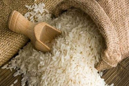 رییس انجمن تولیدکنندگان و تأمین‌کنندگان برنج ایران: دولت از بخش خصوصی حمایت کند/ تعویق ۸ ماهه مطالبات واردکنندگان برنج