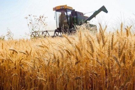 گندم‌کاران از کمباین‌های دارای معاینه فنی استفاده کنند