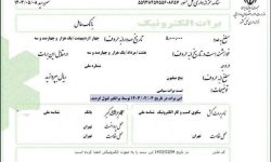 برات الکترونیک زنجیره تامین مالی رونمایی شد