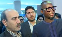 اعلام آمادگی آفریقای مرکزی برای توسعه همکاری‌های معدنی با ایران