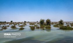 سهم ۲۴ درصدی آبخیزداری از کل حوزه‌های سیل خیز کشور/ اعتبار کافی نیست