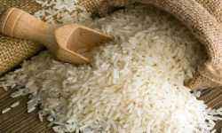 براساس مصوبه هیات دولت؛ برنج و روغن خام به فهرست کالاهای مشمول ارز ترجیحی بازگشت