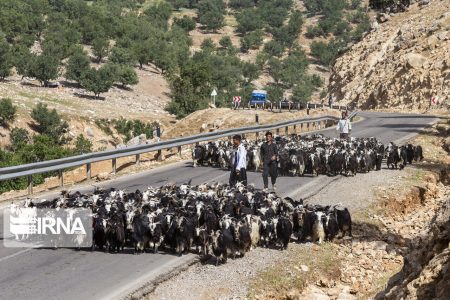 رئیس سازمان امور عشایر ایران اعلام کرد؛ خسارت ۵۰۰ میلیارد تومانی سیل به زیرساخت‌های مناطق عشایری