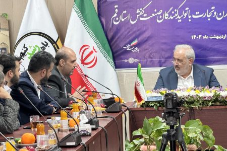 نماینده ویژه وزارت صمت در امور کفش منصوب میشود