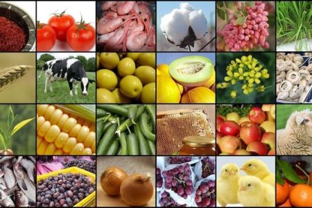 مرکز آمار اعلام کرد کاهش تورم کشاورزی و دامداری سنتی