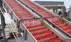 بهره‌برداری از ۳.۶ هزار میلیارد تومان پروژه‌های صنایع تبدیلی در هفته جهاد کشاورزی