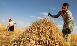 پاداش ۱۰ میلیون تومانی به کشاورزان صرفه‌جو