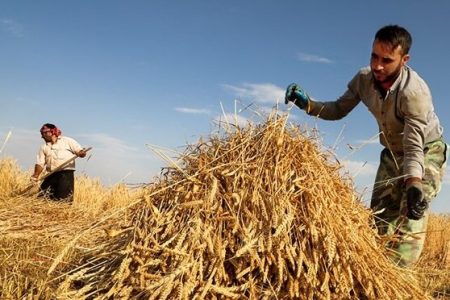 پاداش ۱۰ میلیون تومانی به کشاورزان صرفه‌جو