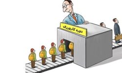 شاغل شدن ۷ هزار تحصیلکرده با اجرای طرح کارورزی در ۲ سال