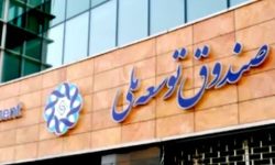 واریز مبالغی از صندوق توسعه ملی به بورس، مُسکن موقت و کوتاه مدت است