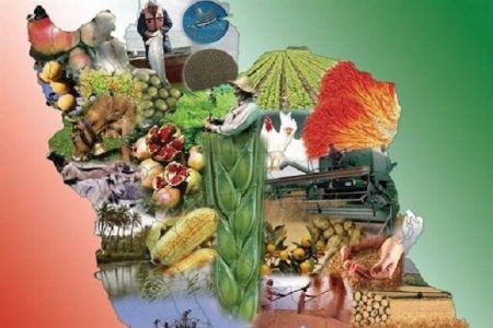 لزوم برنامه‌ریزی مناسب برای رسیدن به امنیت غذایی/ کشاورزان بیمه ندارند