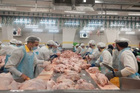 قیمت گوشت مرغ کاهش می‌یابد