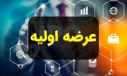 معاون پذیرش و ناشران بورس تهران: ۹ شرکت آماده عرضه اولیه در بورس تهران هستند