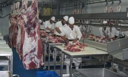 معافیت انواع گوشت و فرآورده‌های آن از مالیات بر ارزش افزوده