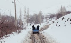 هواشناسی ایران ۱۴۰۳/۱۲/۱۵؛ بارش گسترده برف و باران در کشور