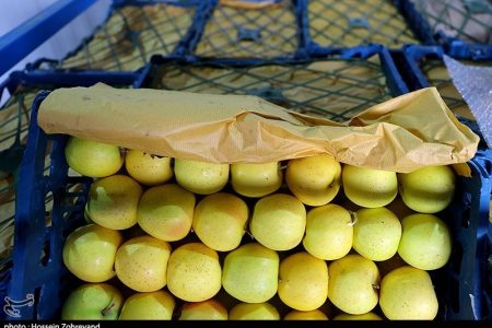 ذخیره ۲۰ هزارتن سیب و پرتقال برای تنظیم بازار میوه شب عید