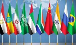 وزیر جهاد کشاورزی عازم برزیل شد