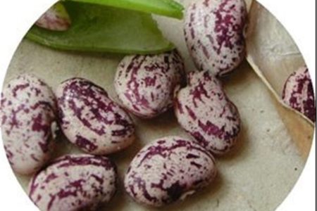 حباب ۳۰۰ هزار تومانی حبوبات در بازار یله