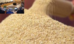 قیمت مصوب سبوس گندم ۹۵۰۰ تومان اعلام شد