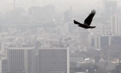سرمایه‌گذاران مسکن قهر کرده‌اند؟ گزارش تسنیم از موانع تولید