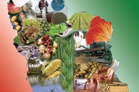 صنایع غذایی؛ پیشران اشتغال یا قربانی خاموش بحران‌ها؟