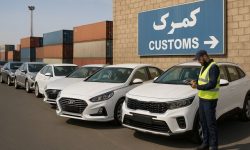 دستور معاون وزیر صمت جهت تسریع در ترخیص خودروهای وارداتی از گمرک