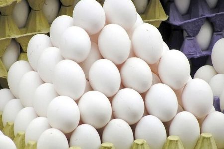مدیرعامل اتحادیه مرکزی مرغداران: تولید تخم‌مرغ بدون وقفه ادامه دارد / در صورت بروز شرایط خاص در کشور تمهیدات لازم را اندیشیده ایم