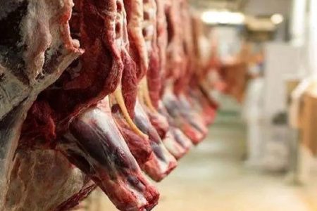 خودکفایی گوشت، قربانی رانت واردات شد