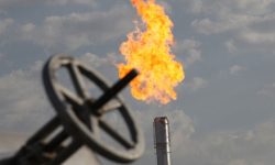 برتری گاز در سبد انرژی جهانی بی‌رقیب ماند