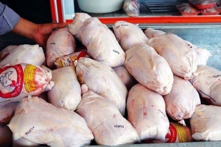 مدیرعامل شرکت پشتیبانی امور دام کشور خبر داد: آمادگی توزیع مرغ منجمد بر اساس نیاز استان‌ها