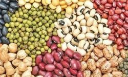 ۳۰ درصد حبوبات از طریق واردات تامین می‌شود
