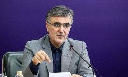 فرزین: تخصیص ارز ترجیحی برای نهاده‌های دامی و کالاهای اساسی ادامه دارد