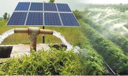 در گفتوگو با ایسنا عنوان شد چگونه میتوان هزینه تمامشده محصولات کشاورزی را کاهش داد؟