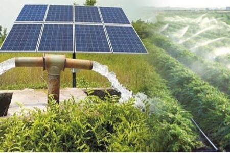 در گفتوگو با ایسنا عنوان شد چگونه میتوان هزینه تمامشده محصولات کشاورزی را کاهش داد؟